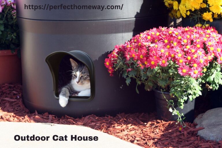 Outdoor Cat House